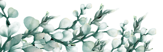 Leaves in frame